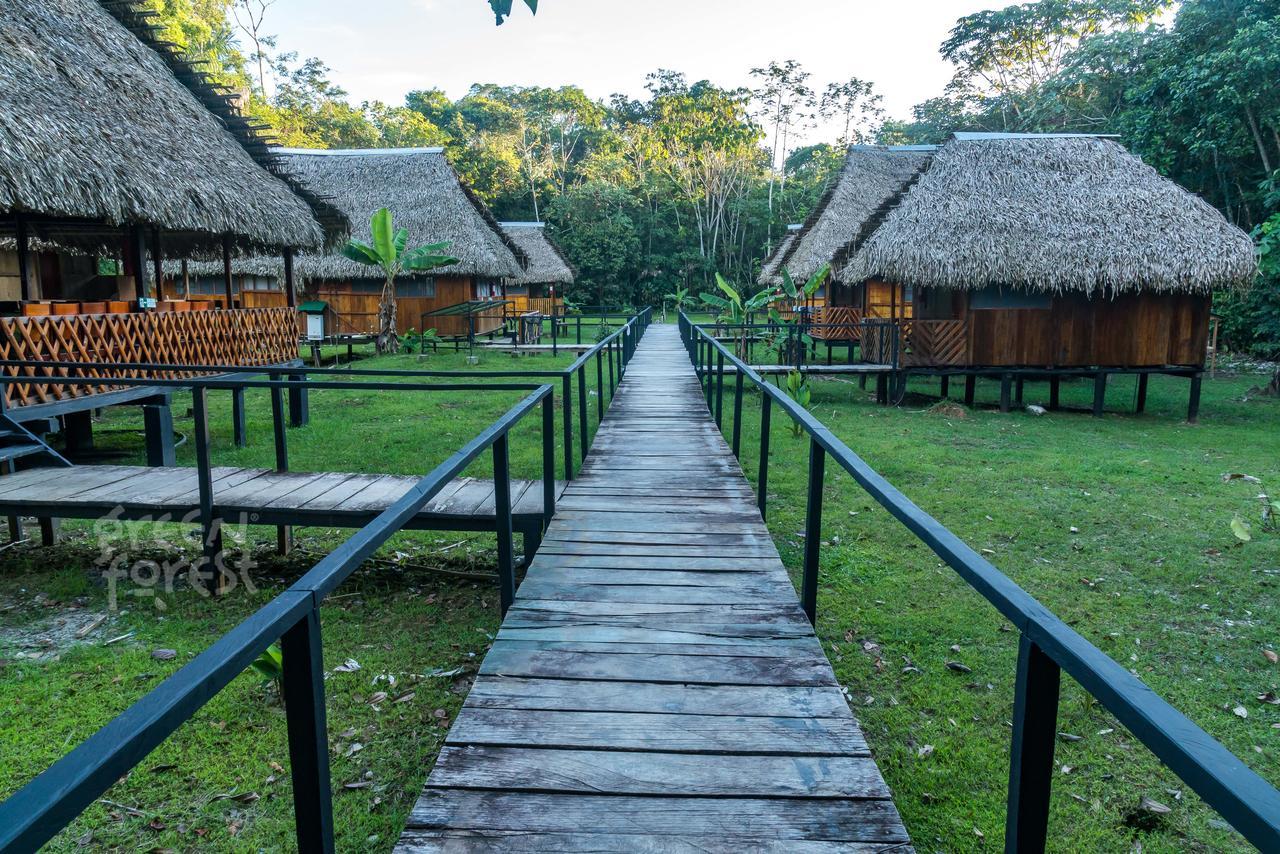 Green Forest Ecolodge Puerto Montufar Eksteriør bilde