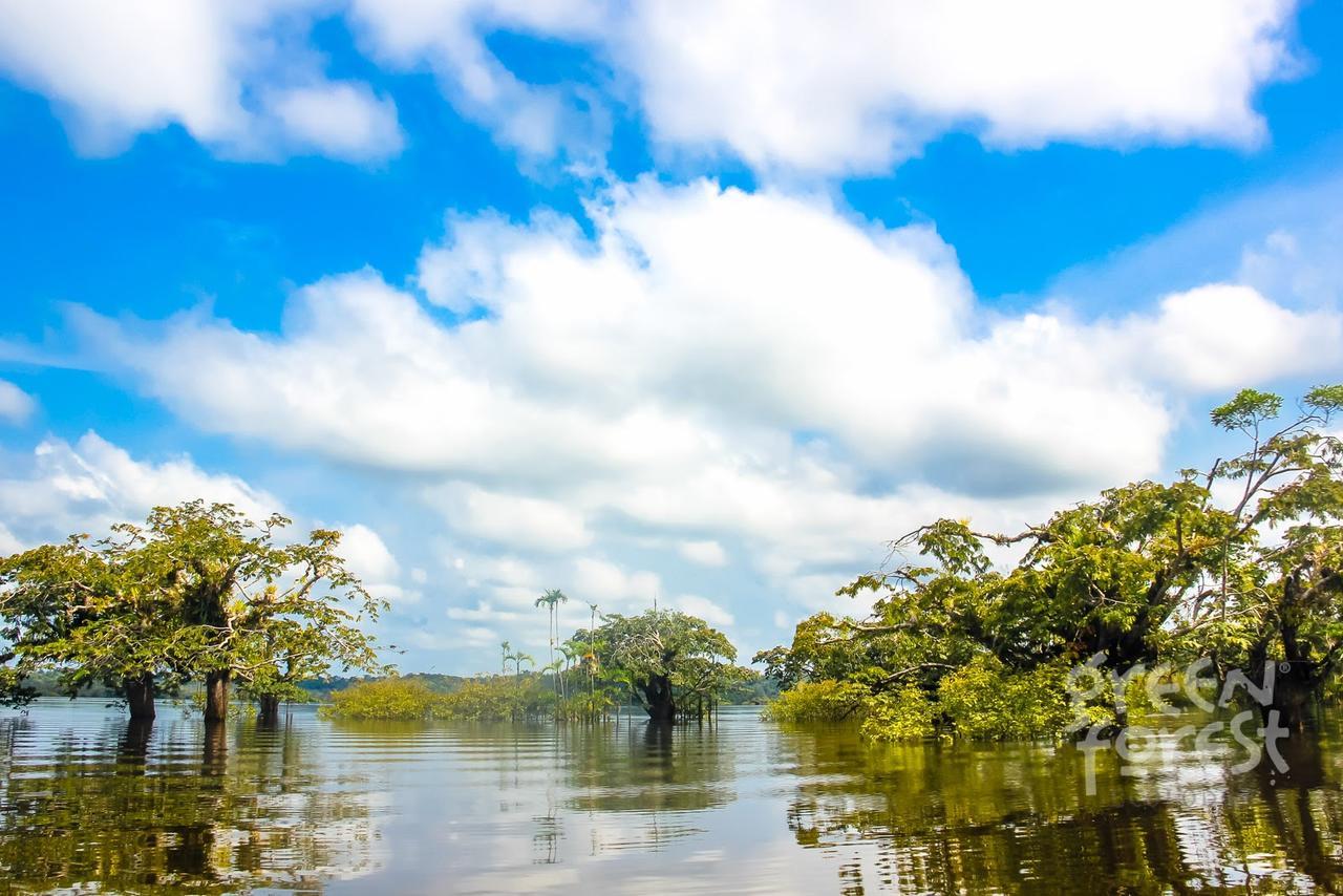 Green Forest Ecolodge Puerto Montufar Eksteriør bilde